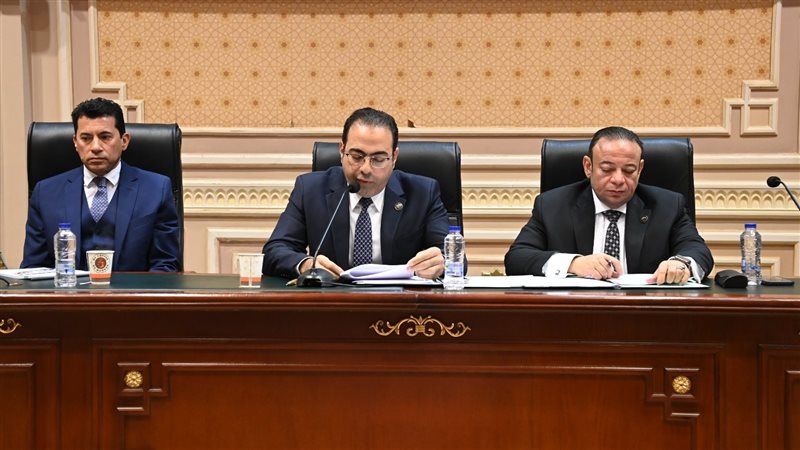 توصية برلمانية بشأن