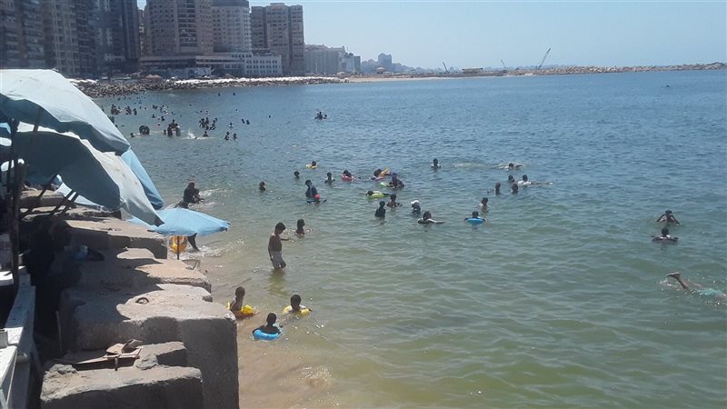 شواطئ الاسكندرية