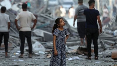 أول رد لـ مصر على مجزرة الفجر لمدرسة التابعين (إنفوجراف)