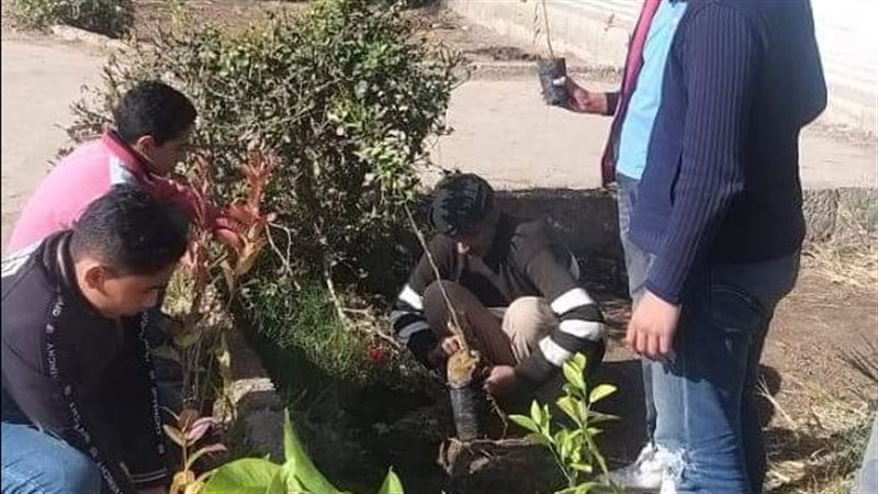 زراعة الاشجاء علي