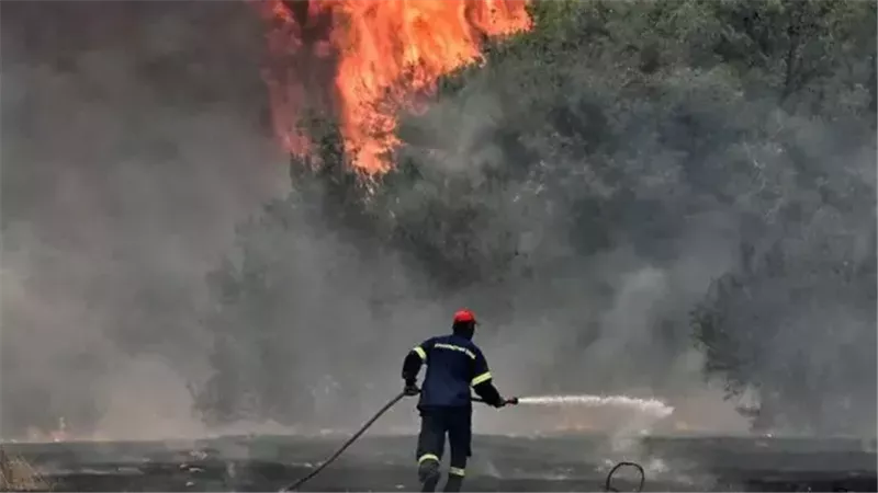 حرائق الغابات، فيتو