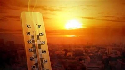 txt