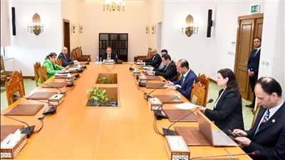 دراسة التحول الرقمي للخدمات القنصلية، تفاصيل اجتماع وزير الخارجية والهجرة بقيادات الوزارة 