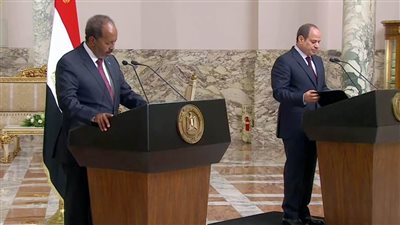 حصاد نشاط الرئيس السيسي من 30 يوليو إلى 14 أغسطس (فيديو)