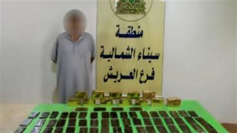 ضبط عنصر إجرامي،