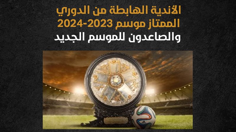 الدوري المصري