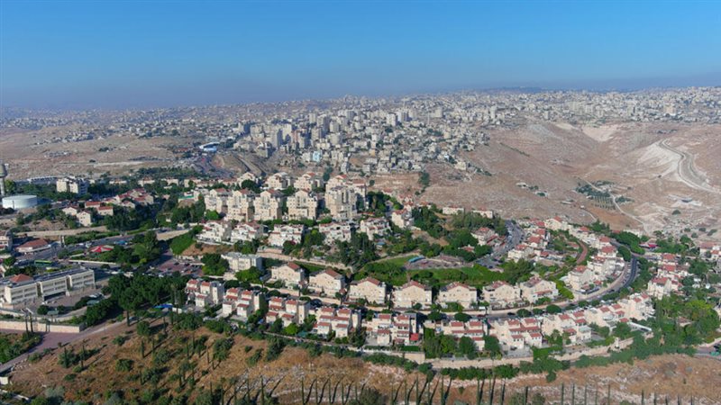 أرشيفية