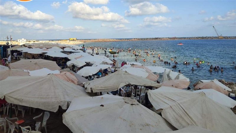 الإسكندرية 