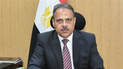 محافظ الشرقية يعلن انتهاء موسم توريد القمح بـ 621 ألف طن 