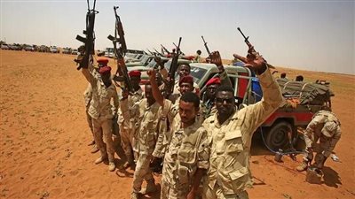 مجزرة جديدة للدعم السريع بقرية جلنقي بولاية سنار السودانية 