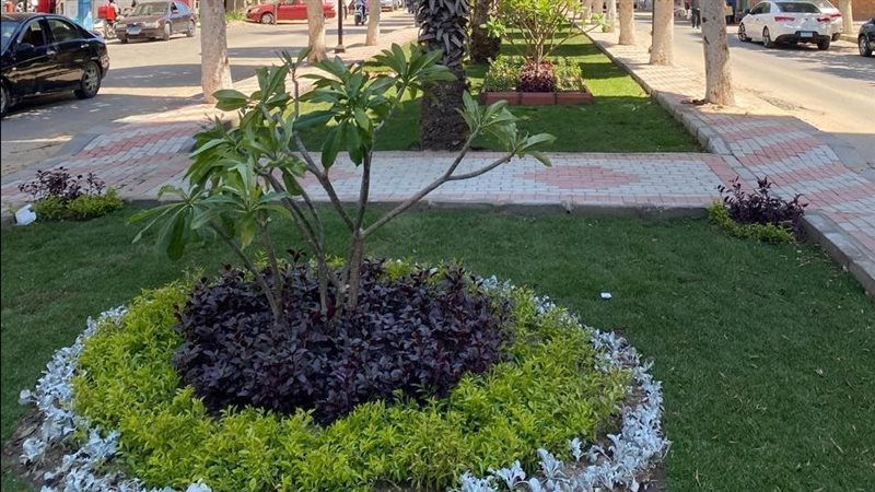 ممشى عرابي بالإسماعيلية،