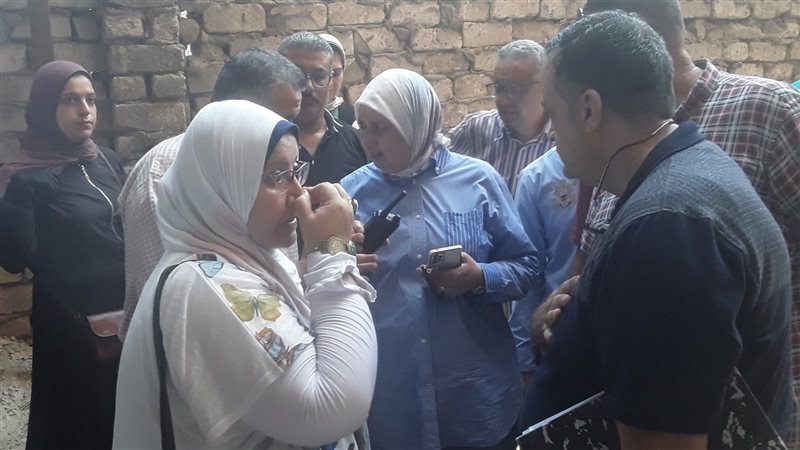 حملة إزالة بالإسكندرية،