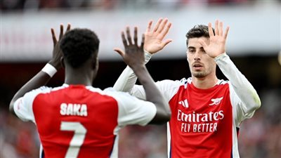 الدوري الإنجليزي، لاعب أرسنال الجديد يجتاز الكشف الطبي