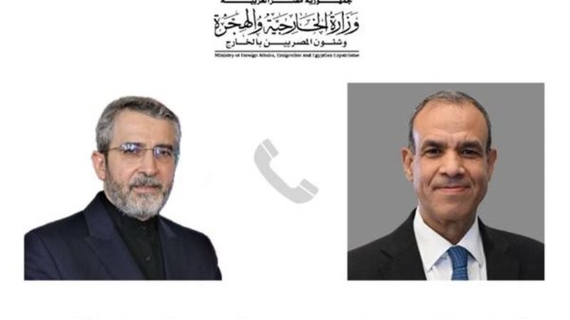 وزير الخارجية المصري