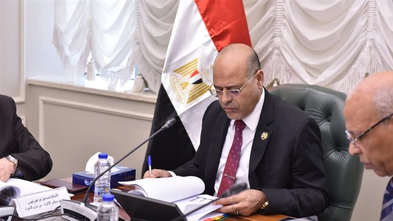 محمد جبران وزير العمل،فيتو
