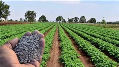  بنك معلومات لأراضى مصر الزراعية..قصة مشروع واعد للتنبؤ بإنتاجية المحاصيل.. النظام يشمل خرائط رقمية تفصيلية للتربة.. ومصاد بمركز البحوث تكشف الأهداف والتفاصيل