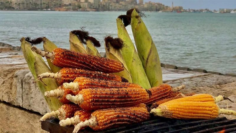 فوائد الذرة المشوي
