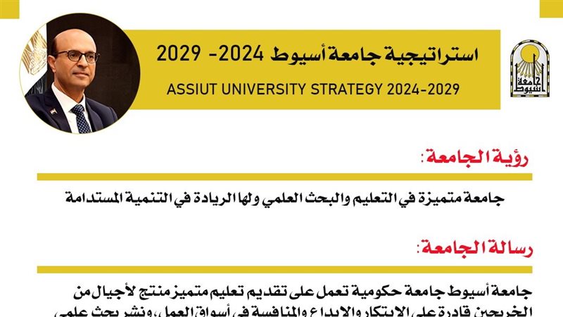استراتيجية جامعة