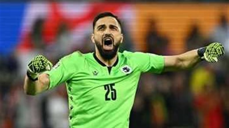 مامارداشفيلي، فيتو