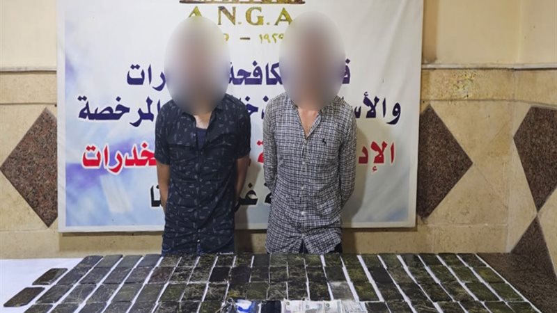 ضبط عناصر إجرامية
