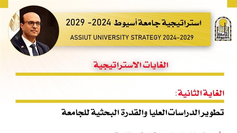 استراتيجية جامعة