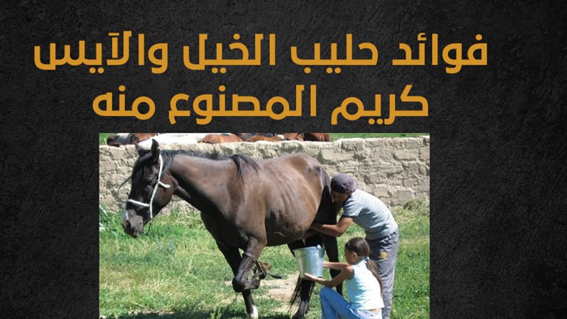 حليب الخيل 
