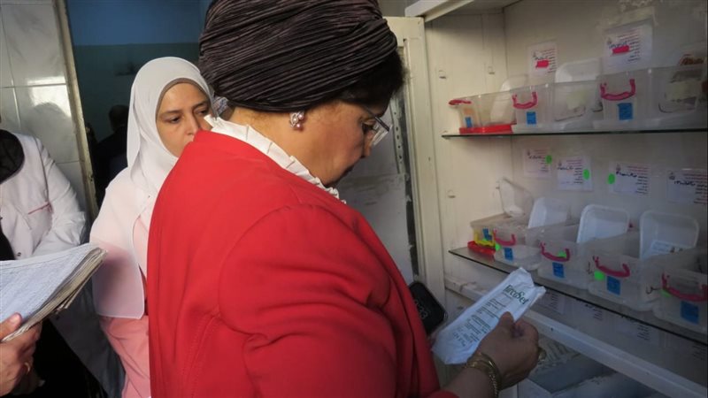 د.عبلة الألفي، فيتو