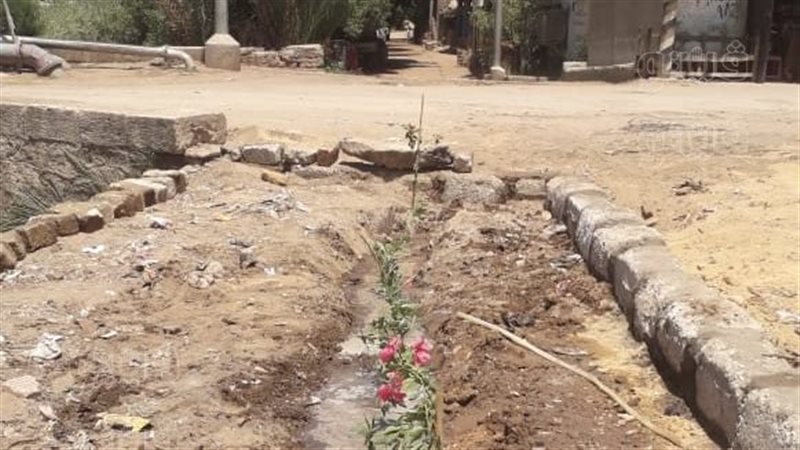 زراعة الشجر