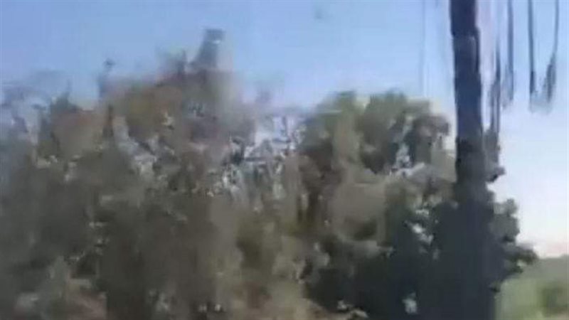 حريق بمزرعة نخيل