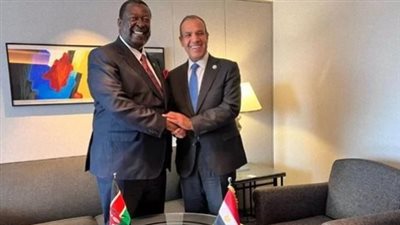 وزير الخارجية يتفق مع نظيره الكيني على زيادة حجم التجارة البينية