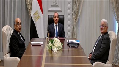 السيسي يتابع تعزيز فاعلية منظومة التقاضي وتطوير الهيئة القومية للتأمين الاجتماعي 