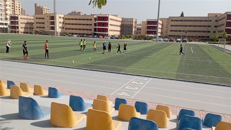 جامعة عين شمس، فيتو