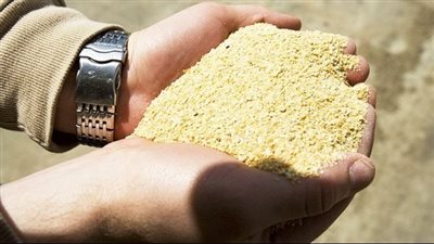 الردة تتراجع 400 جنيه، أحدث أسعار الأعلاف والحبوب في الأسواق