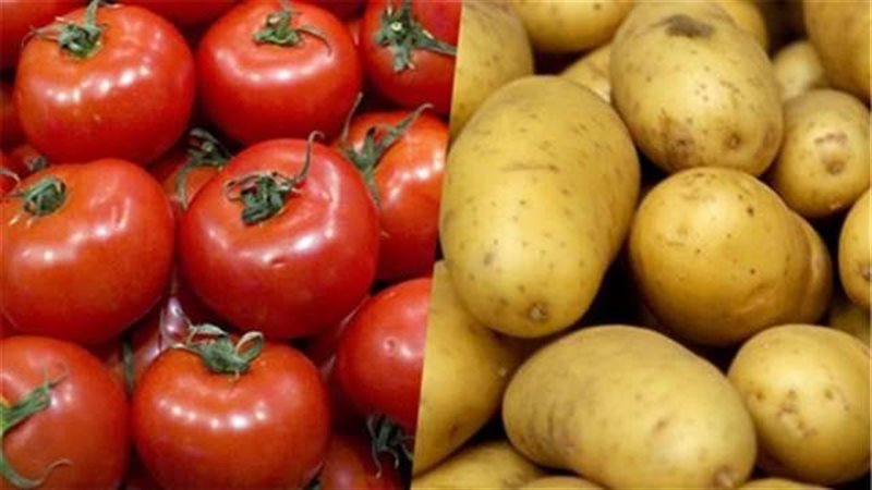 اسعار البطاطس والطماطم،