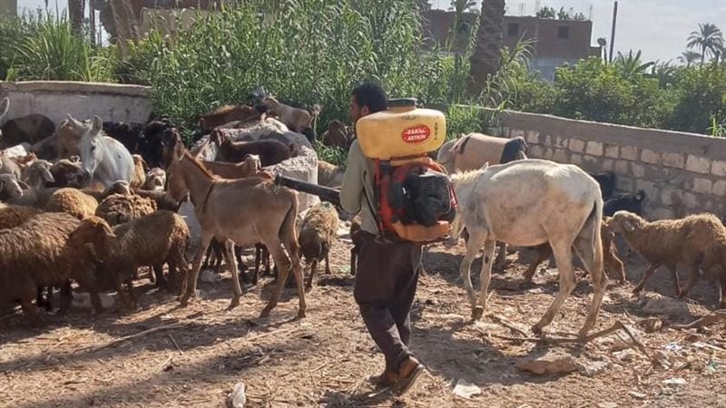 قافلة سكانية بالبحيرة
