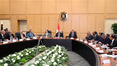 وزير الصناعة يستعرض إجراءات تيسير نفاذ الصادرات المصرية عبر الحدود مع السودان وليبيا 