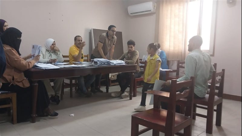 تضامن الدقهلية، فيتو