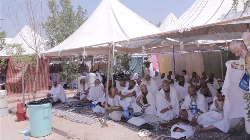 الحجاج، فيتو 