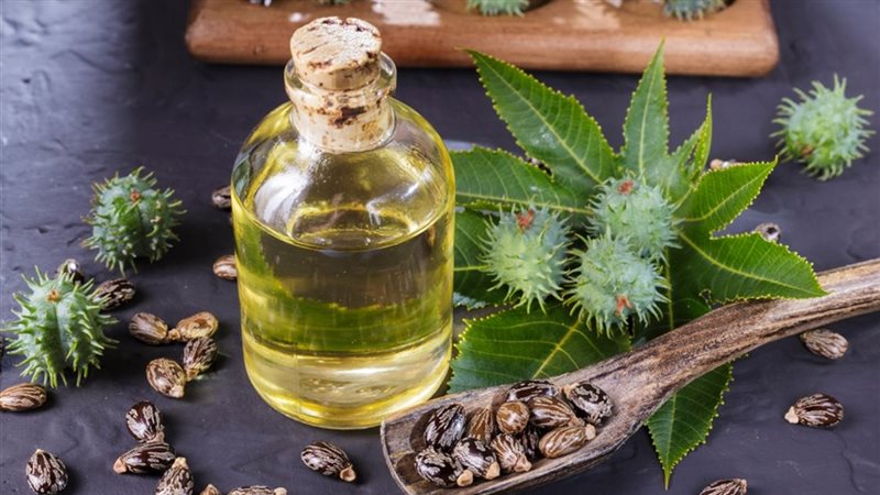 زيت الخروع للشعر
