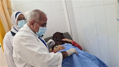 الكشف على 1014 مواطنا خلال قافلة طبية بقرية الإيمان بالبحيرة (صور)