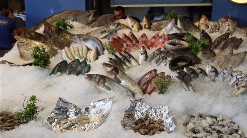 أسعار الأسماك والجمبري