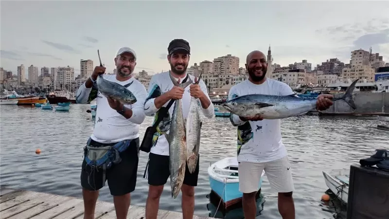 فعاليات منافسات بطولة