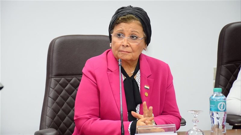 د. عبلة الألفي، فيتو