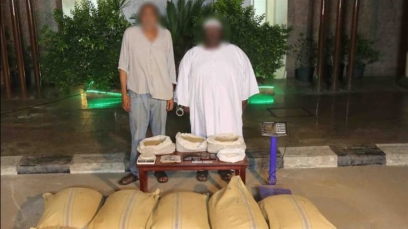 سقوط تشكيل عصابى