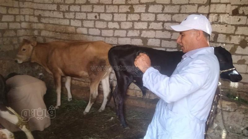 انطلاق الحملة القومية