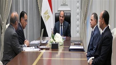 تفاصيل اجتماع رئاسي للتصدي لظاهرة سرقة التيار الكهربائي (فيديو)