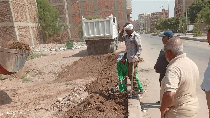 أثناء التشجير
