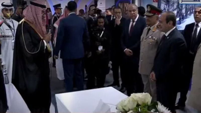 الرئيس السيسي يتفقد