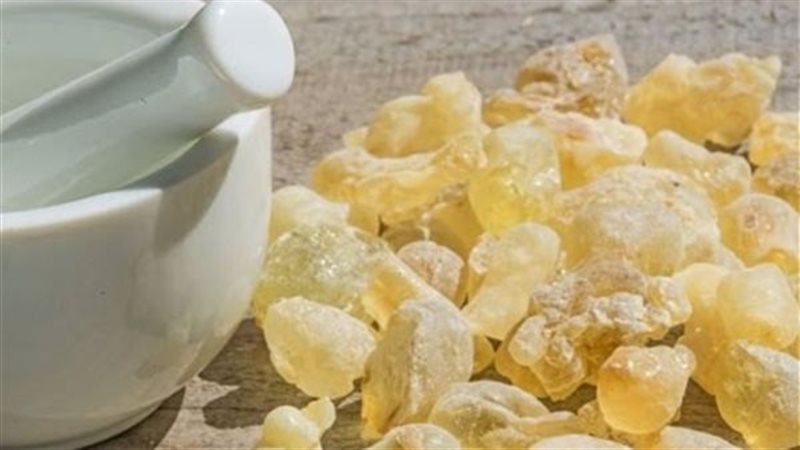 فوائد اللبان الدكر