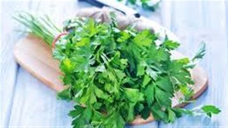 فوائد البقدونس ,